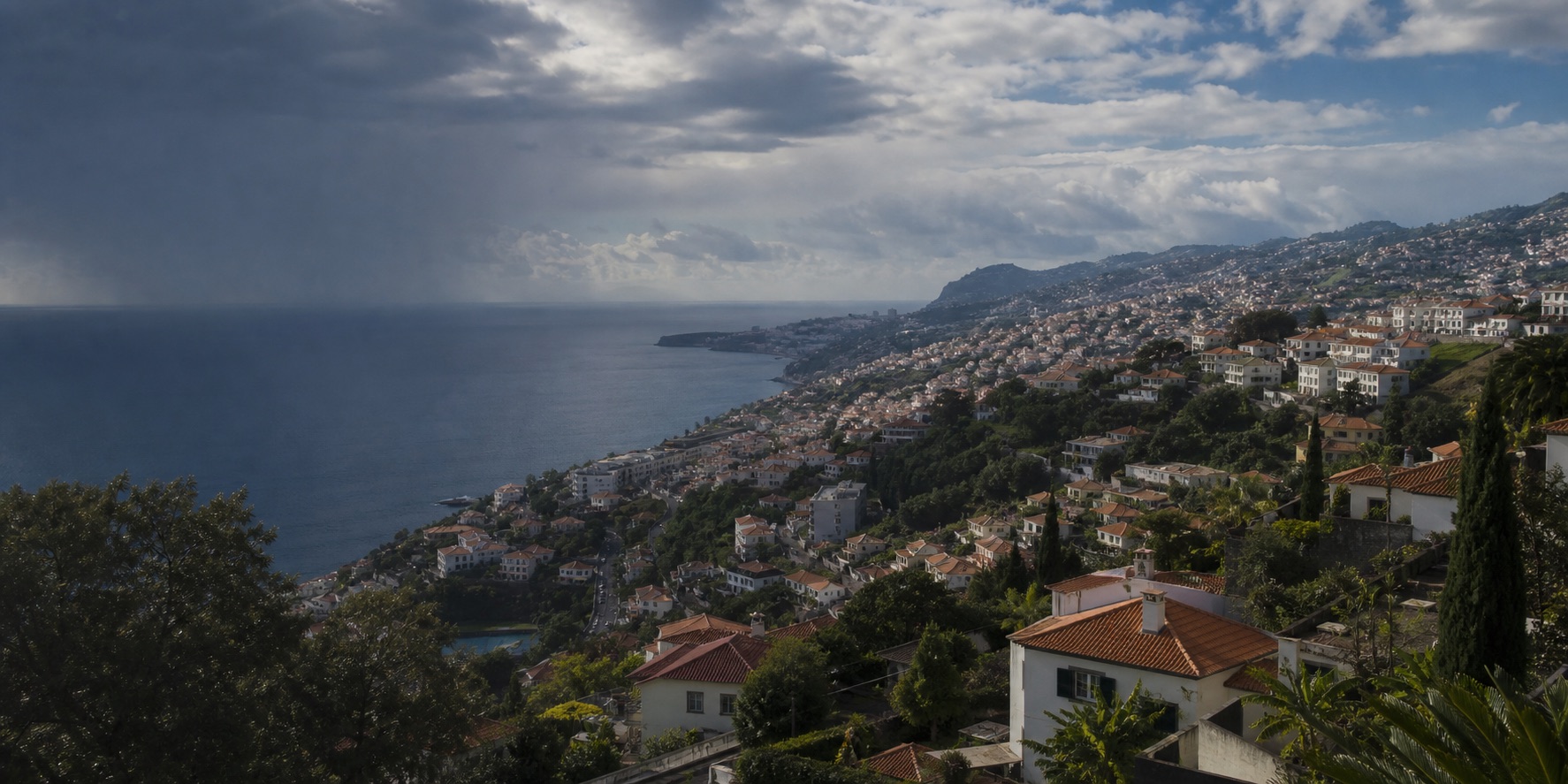 Funchal spreading down a green hillside towards the Atlantic under broken February cloud